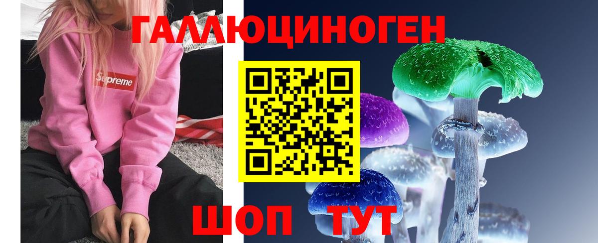 Галлюциногенные грибы Psilocybine cubensis Серов